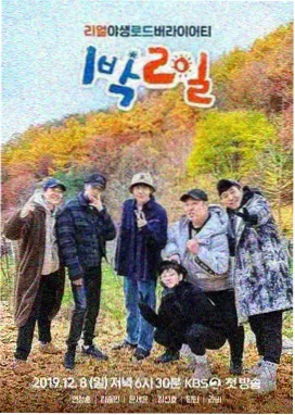草莓音乐节 综艺 2026